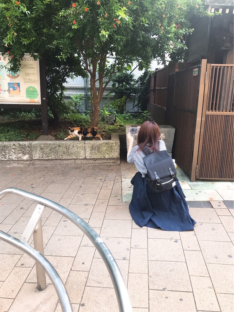 f:id:am161024:20190621023555j:image
