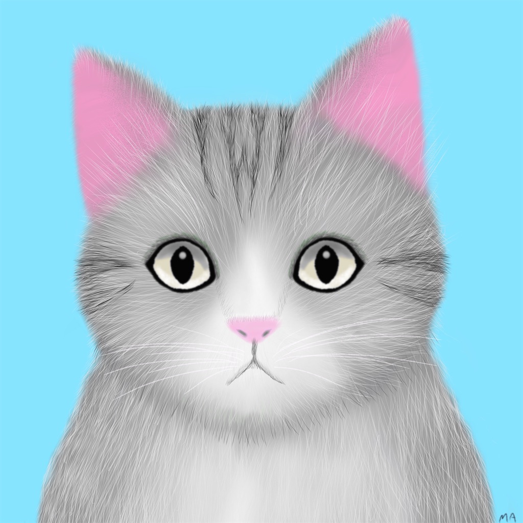 f:id:am161024:20190629023719j:image