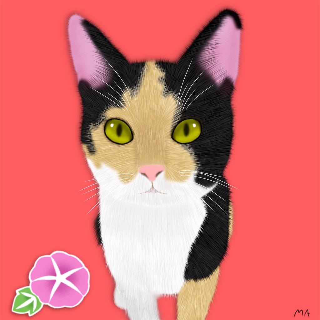 f:id:am161024:20190701033702j:image