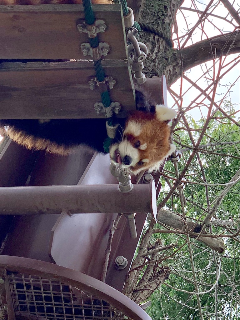 f:id:am161024:20190903031221j:image f:id:am161024:20190903031221j:image