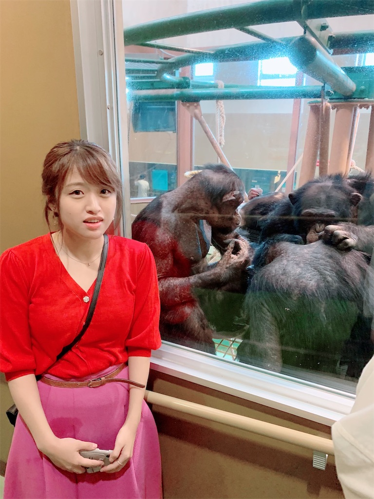 f:id:am161024:20190903032447j:image f:id:am161024:20190903032447j:image