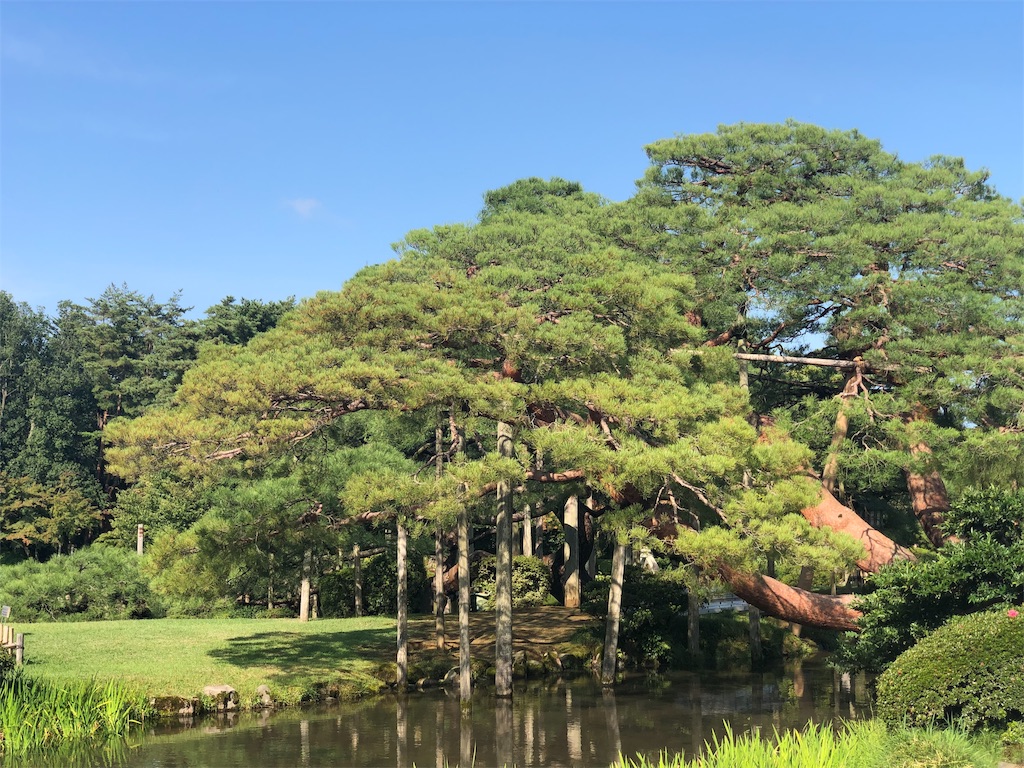 f:id:am161024:20191007043429j:image f:id:am161024:20191007043429j:image