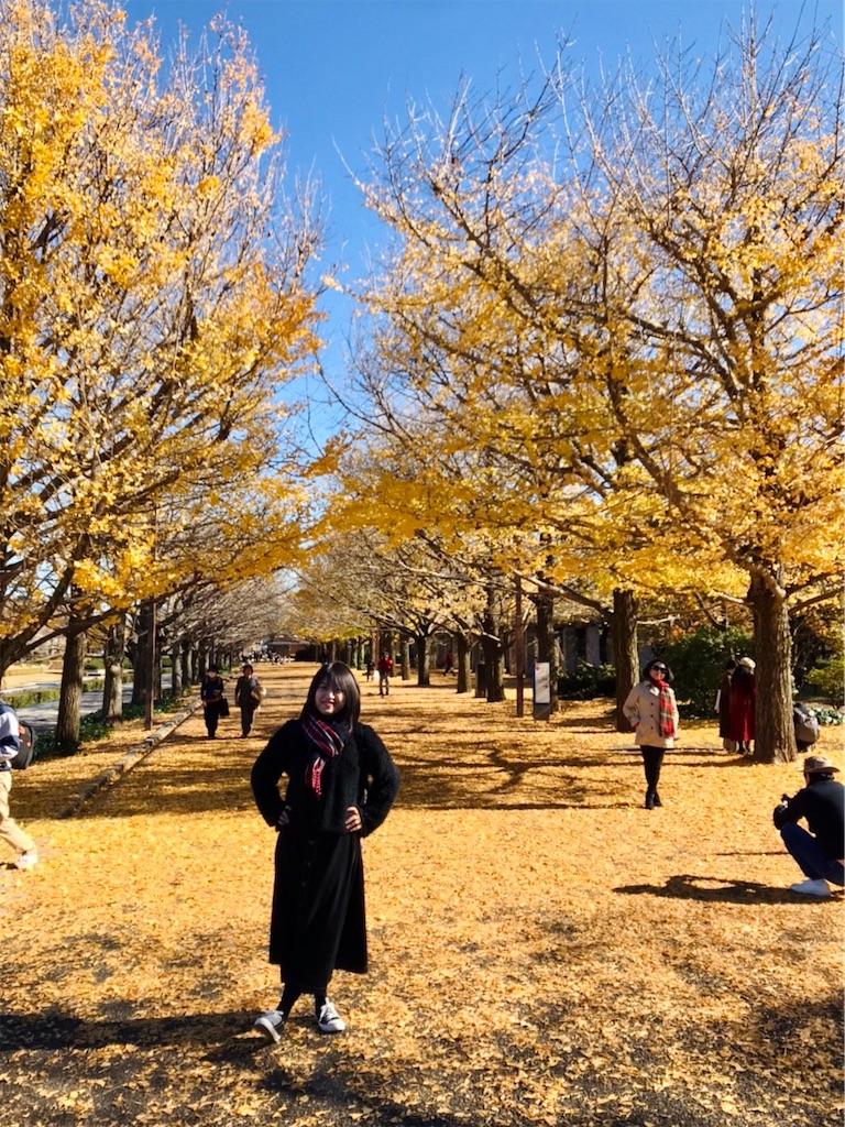 f:id:am161024:20191205015346j:image