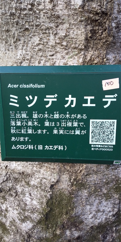 f:id:am161024:20200225024112j:image f:id:am161024:20200225024112j:image