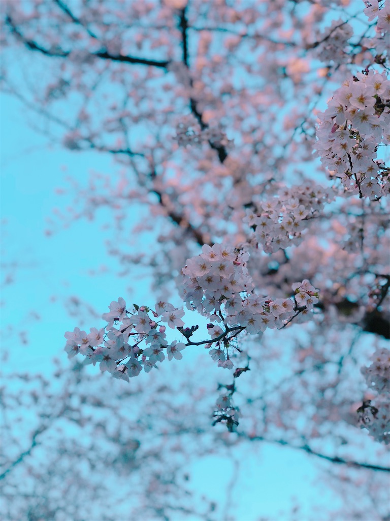 f:id:am161024:20200325015249j:image