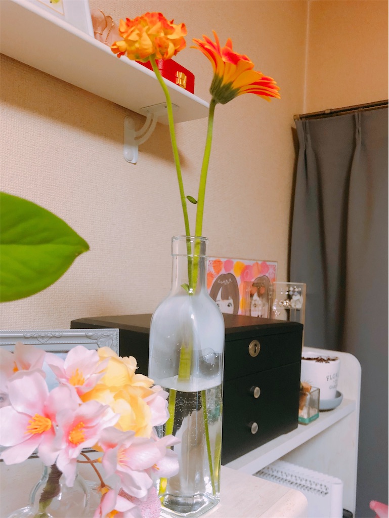 f:id:am161024:20200403021413j:image