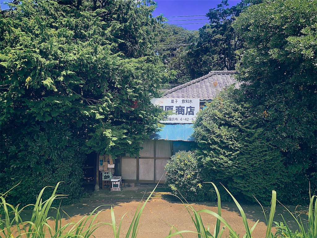 f:id:am161024:20200803014215j:image f:id:am161024:20200803014215j:image