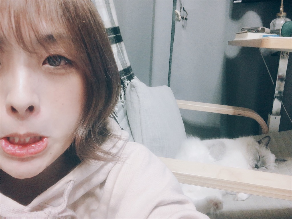 f:id:am161024:20211121015504j:image