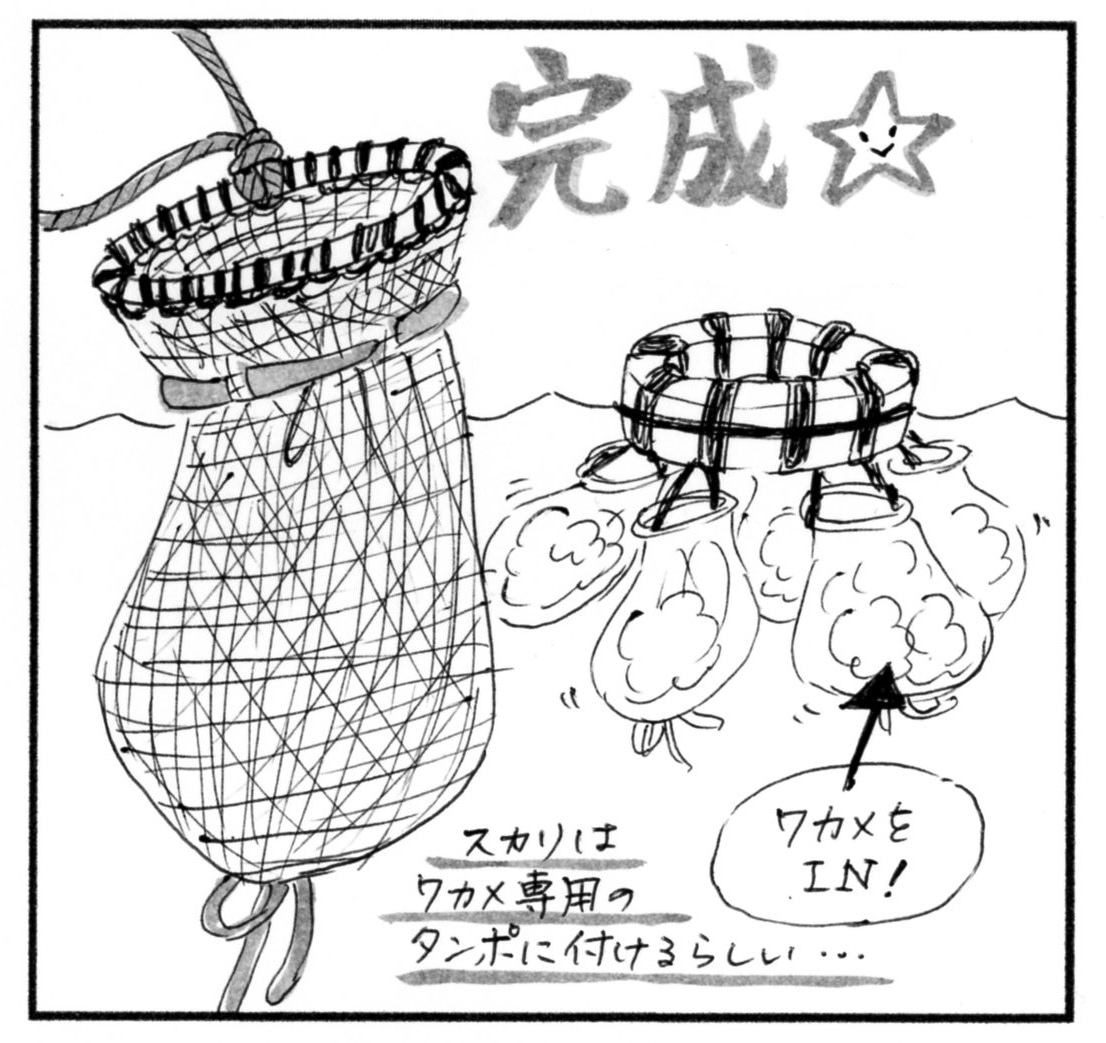 久しぶり海女 ワカメ漁上手くいった話 海女日記 新米海女リッチャン