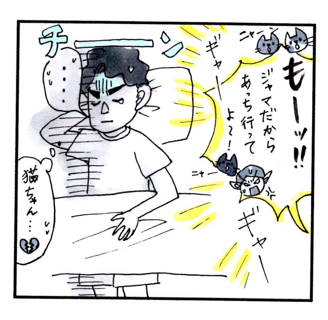 f:id:ama-diary:20200828155426j:plain f:id:ama-diary:20200828155426j:plain