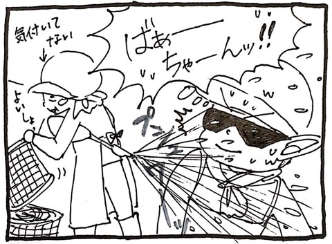 f:id:ama-diary:20200903105756j:plain