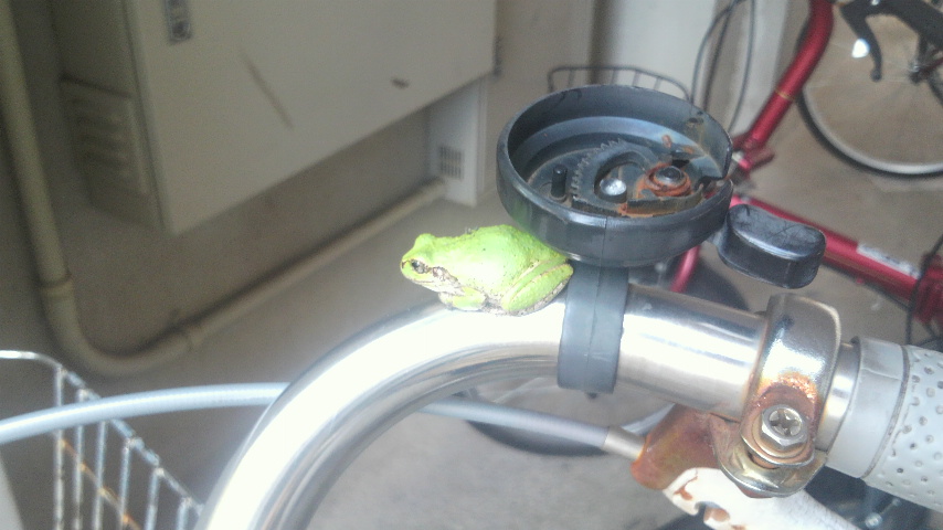 f:id:ama-shinon:20160805230702j:plain