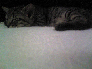 f:id:ama2k46:20080908002049j:image:right