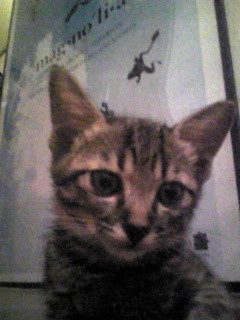f:id:ama2k46:20080908130315j:image:right