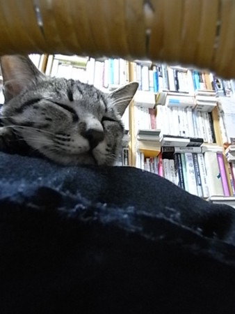 f:id:ama2k46:20081221155424j:image:right