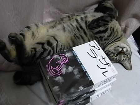 f:id:ama2k46:20090512162154j:image:right