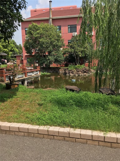 f:id:ama_mama:20190821095116j:image