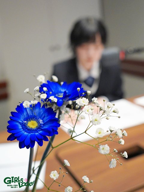 f:id:amaamiamu:20200123232158j:plain