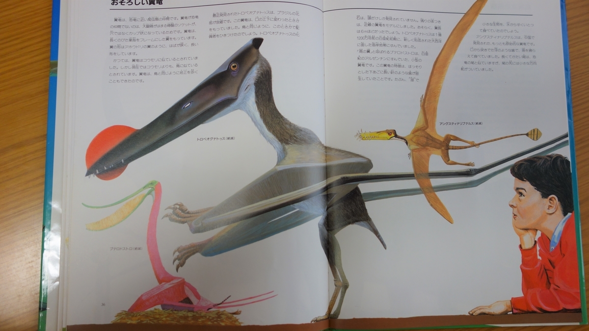 ふしぎ動物大図鑑」を読んだ - 自由に書くのがおれのインターネットだ。