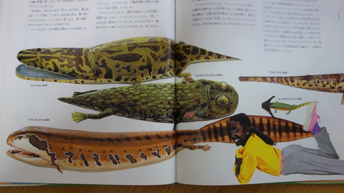 ふしぎ動物大図鑑」を読んだ - 自由に書くのがおれのインターネットだ。