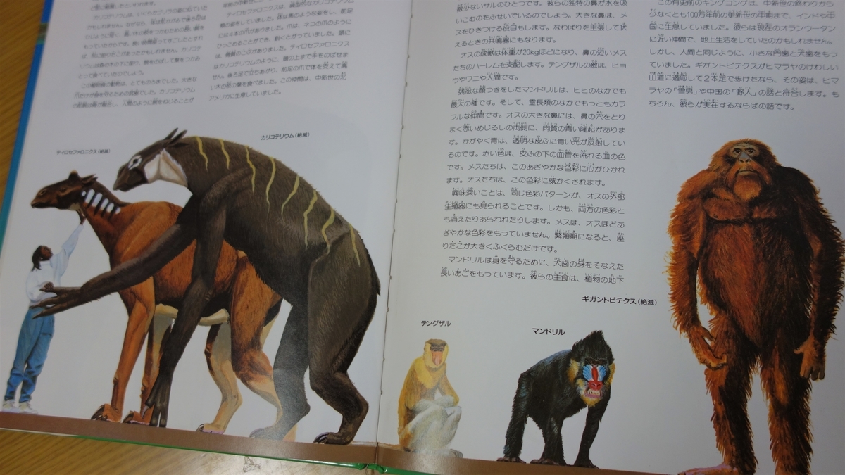 ふしぎ動物大図鑑」を読んだ - 自由に書くのがおれのインターネットだ。