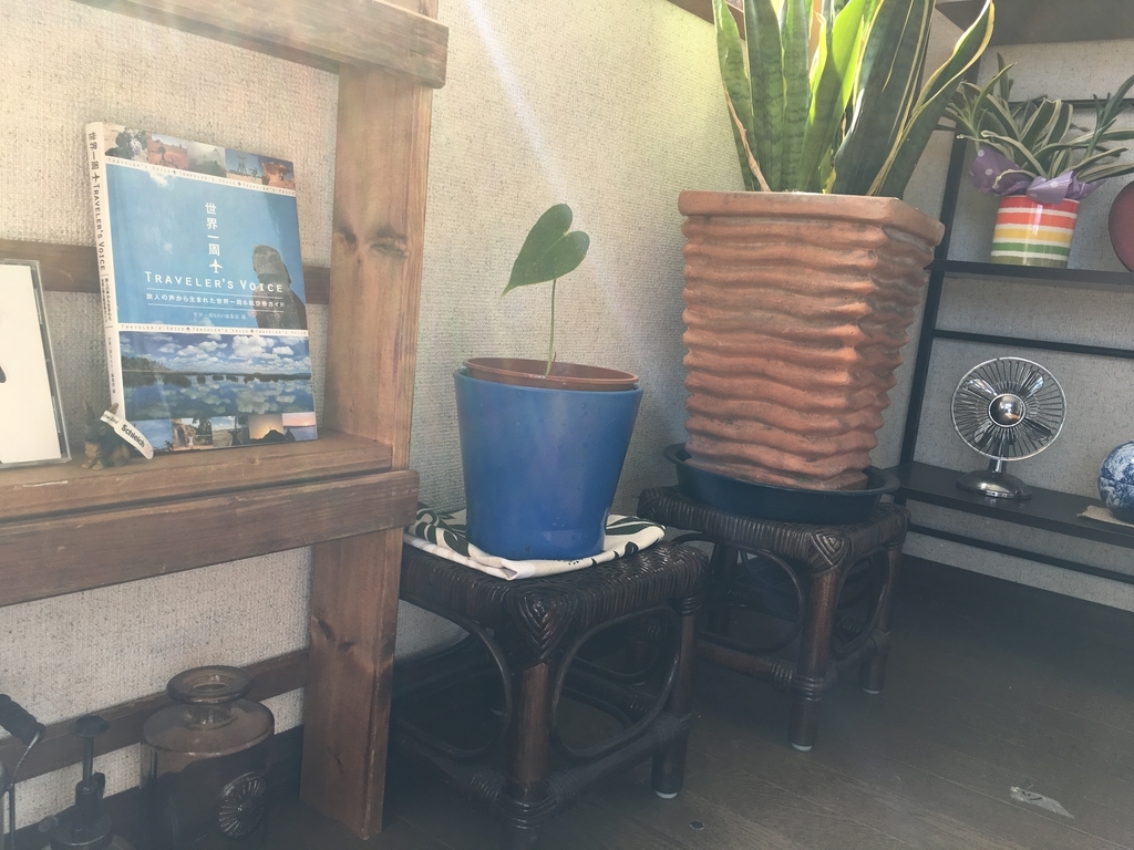 f:id:amadeus1010:20190217011453j:plain