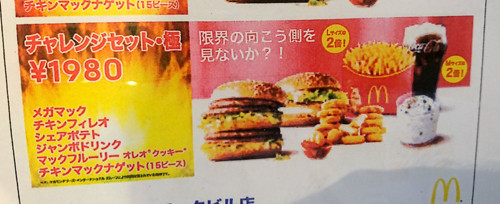 本日限定価格】マクドナルド わが豊饒の人材