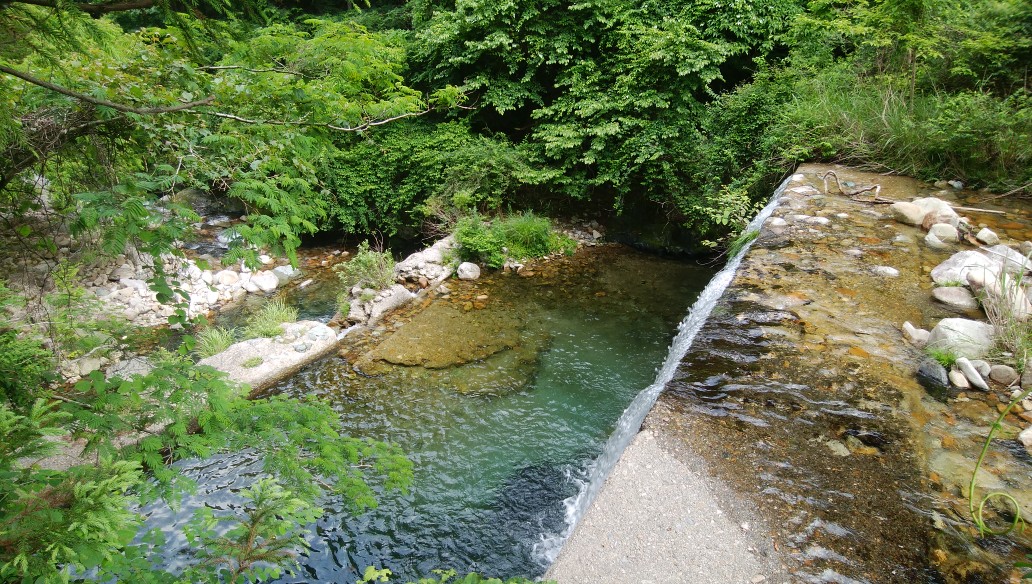 f:id:amago-family:20190623085355j:plain
