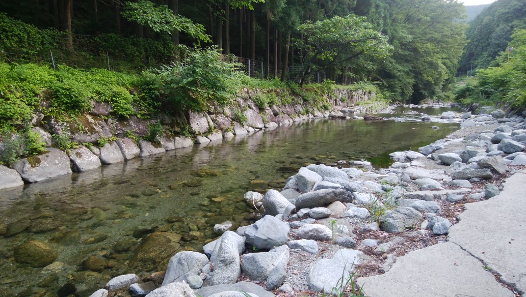 f:id:amago-family:20190623090336j:plain