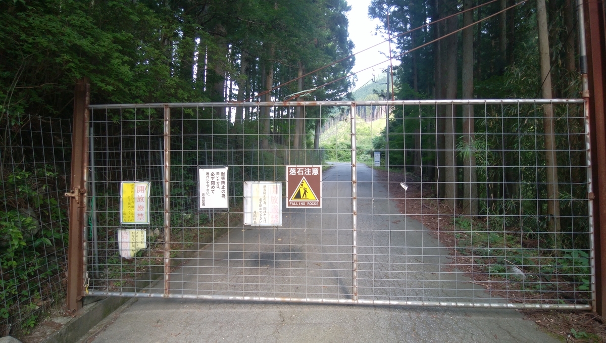 f:id:amago-family:20190623091009j:plain