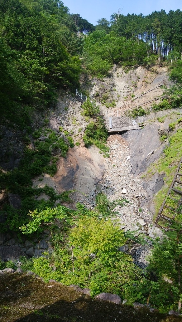 f:id:amago-family:20190623092322j:plain