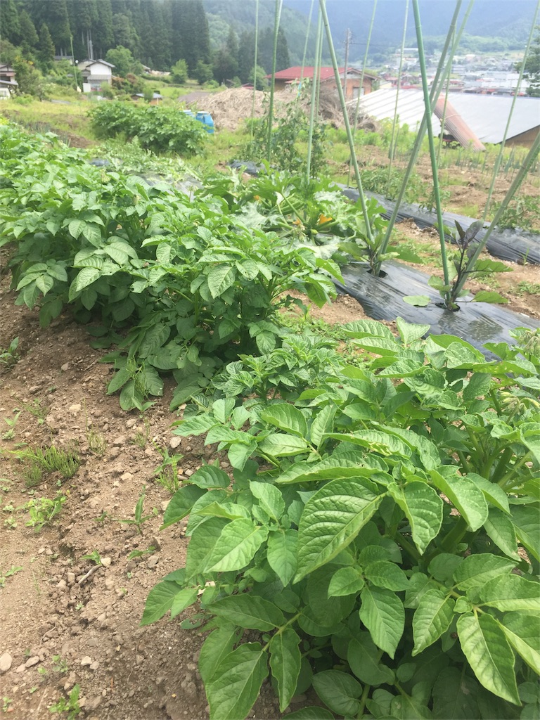 f:id:amago1022:20160624165941j:image