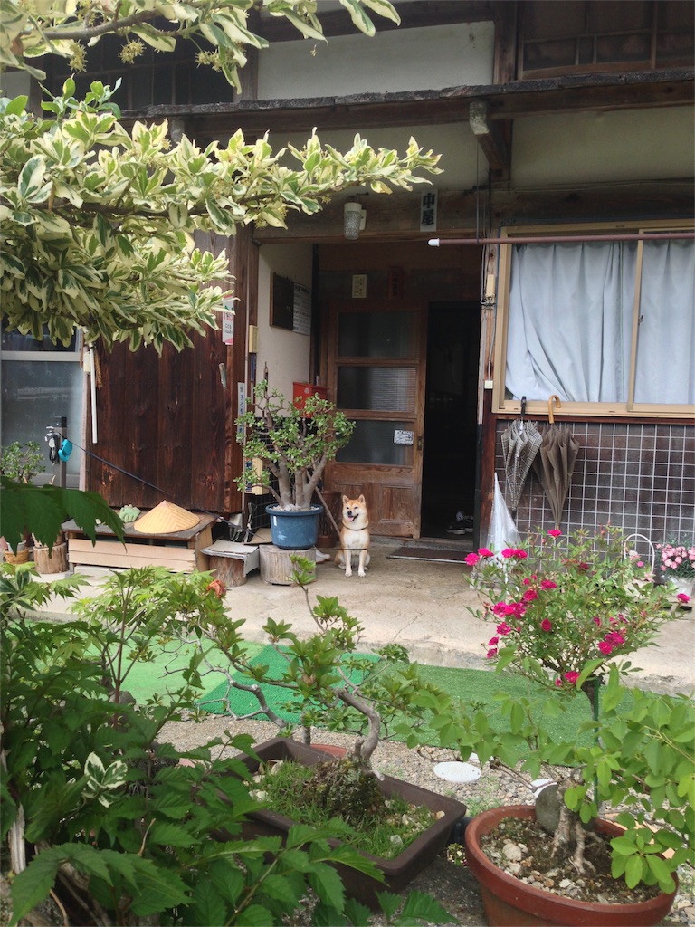 f:id:amago1022:20160802181812j:image f:id:amago1022:20160802181812j:image