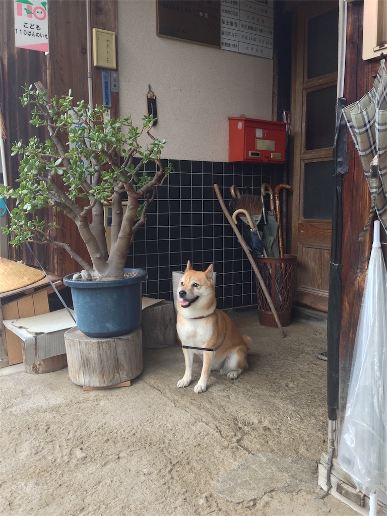 f:id:amago1022:20160802181927j:image f:id:amago1022:20160802181927j:image