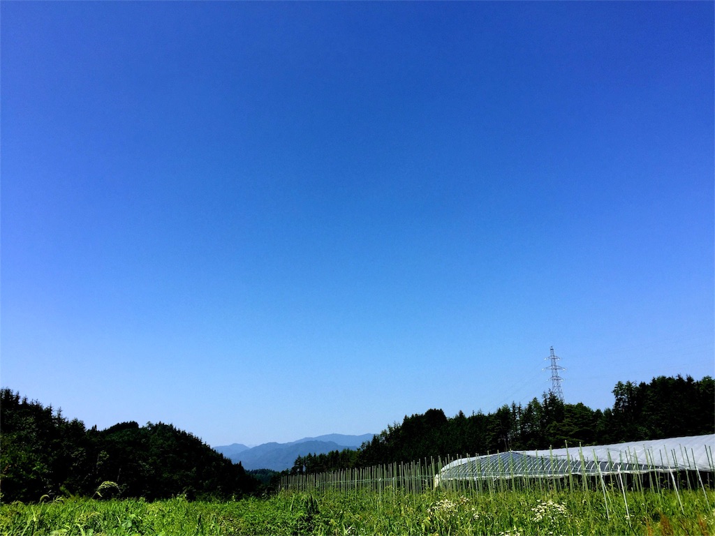 f:id:amago1022:20160806192314j:image