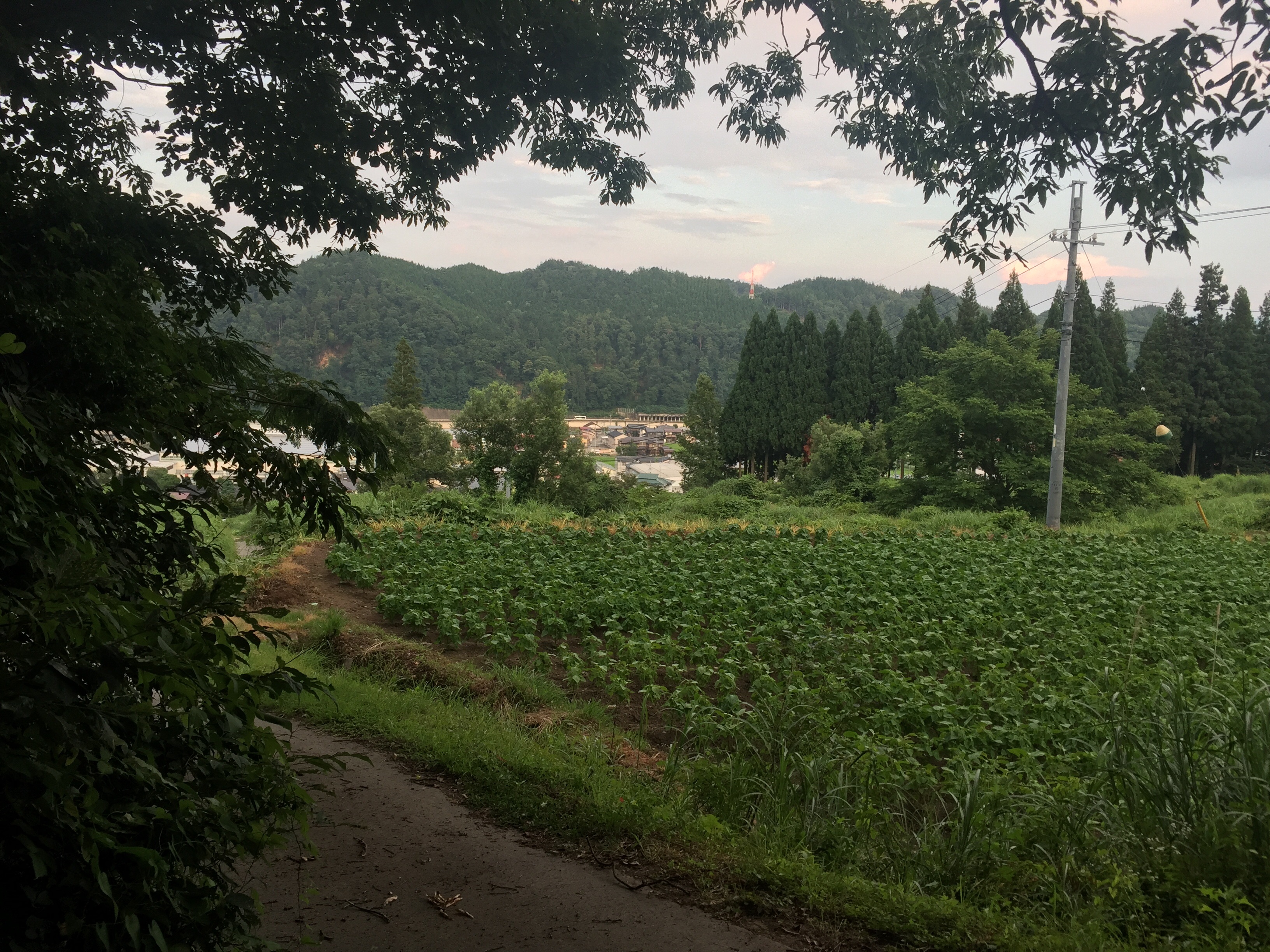 f:id:amago1022:20160817185701j:image