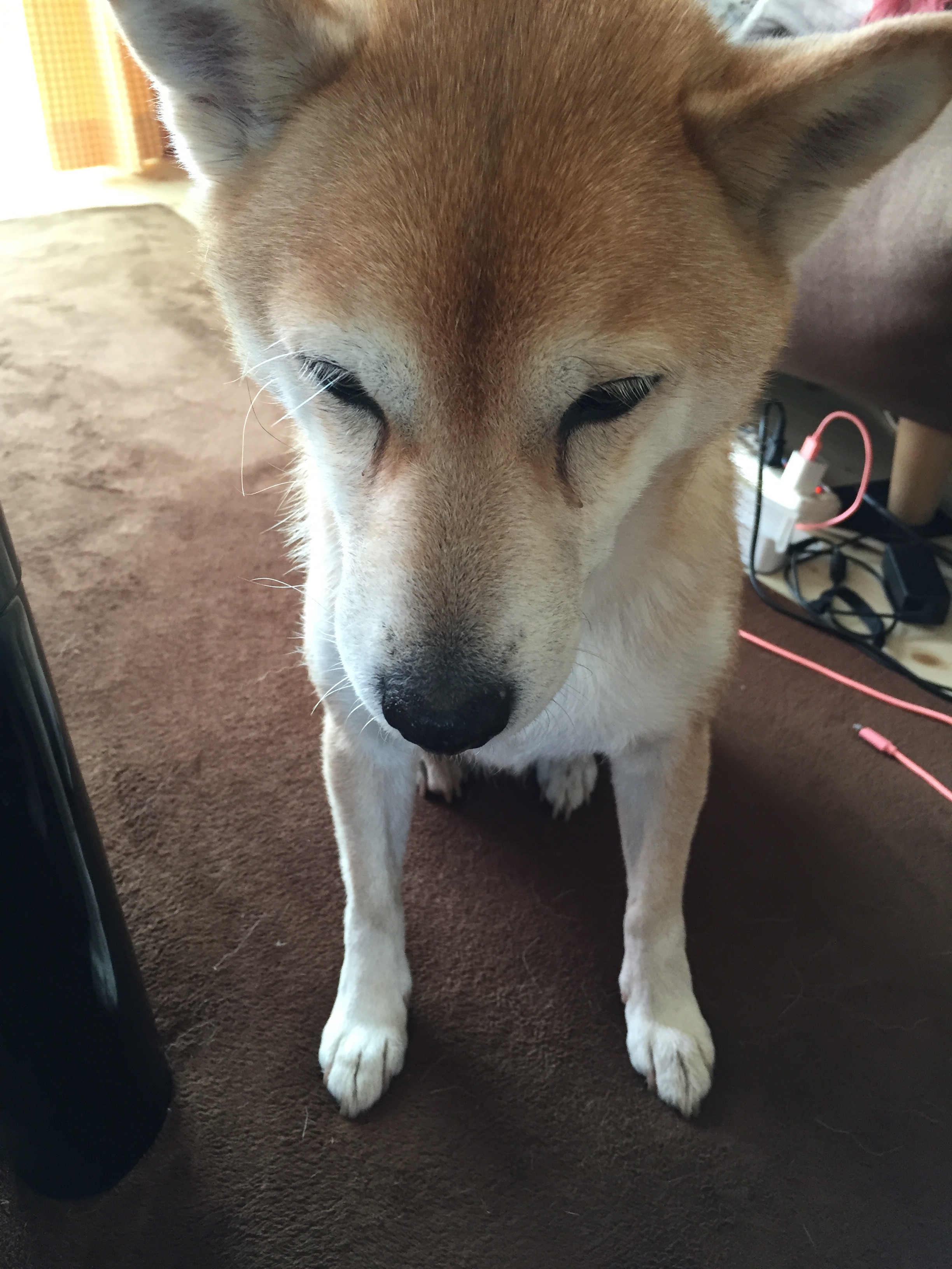 f:id:amago1022:20160912195818j:image