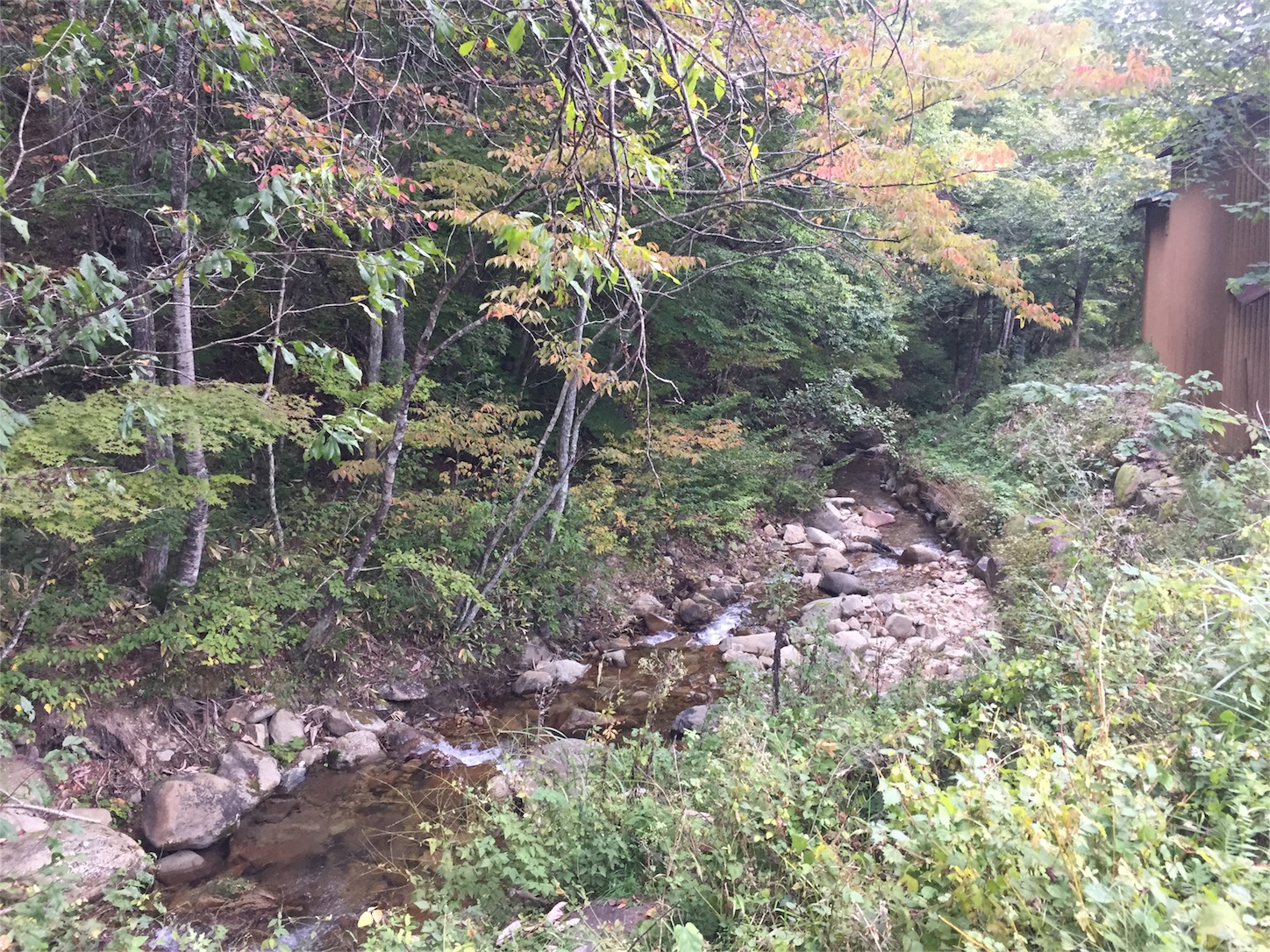 f:id:amago1022:20161017180839j:image