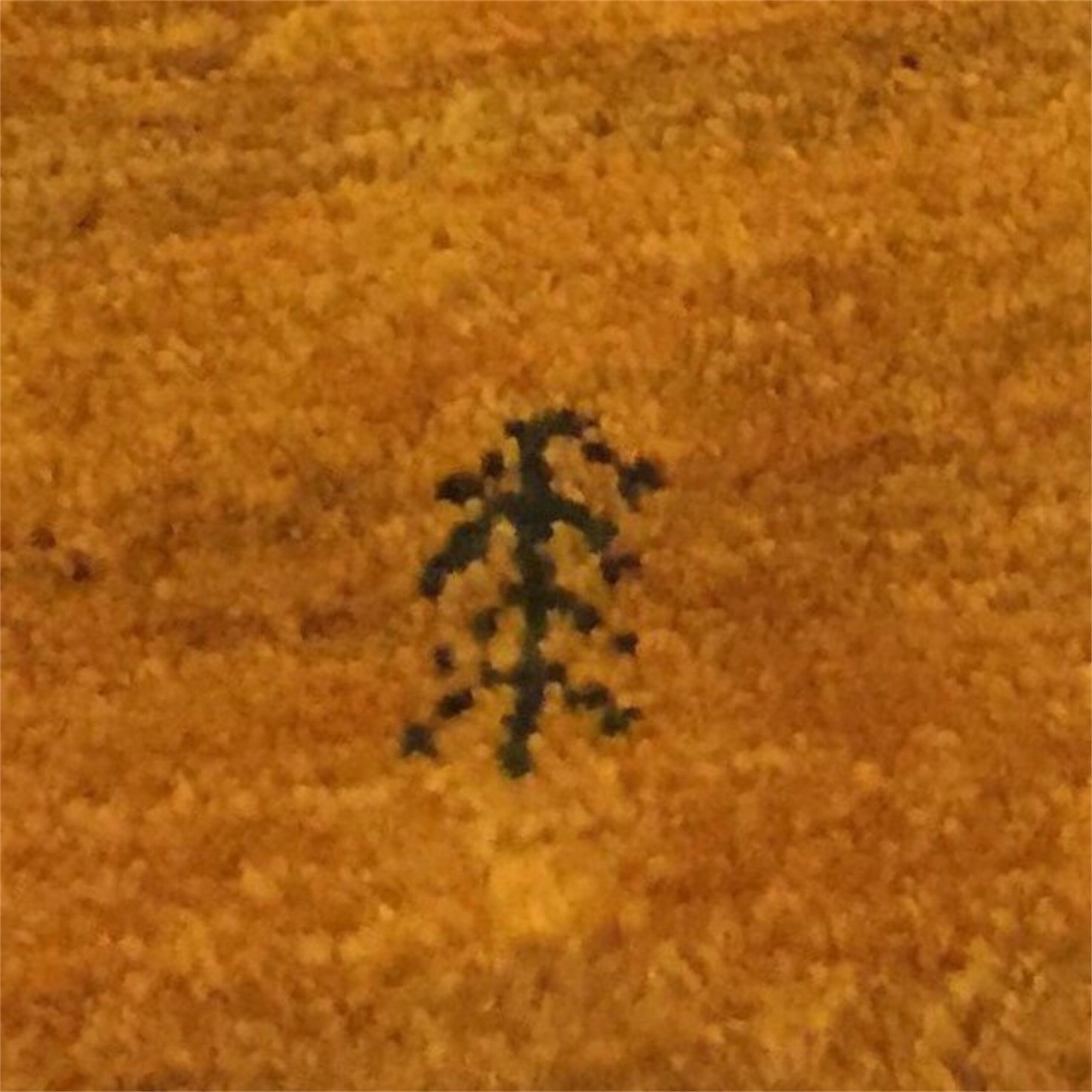 f:id:amago1022:20161017181231j:image