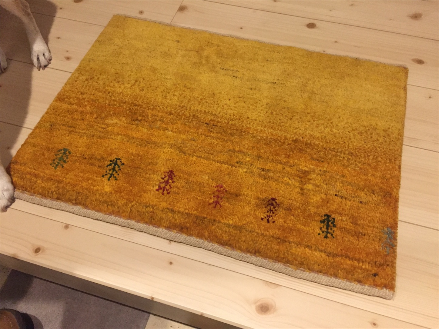 f:id:amago1022:20161017182838j:image