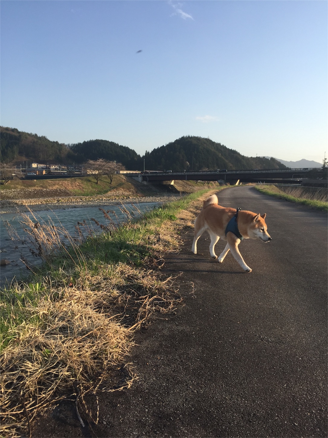 田舎のここがマジ嫌い 田舎で生活10年目