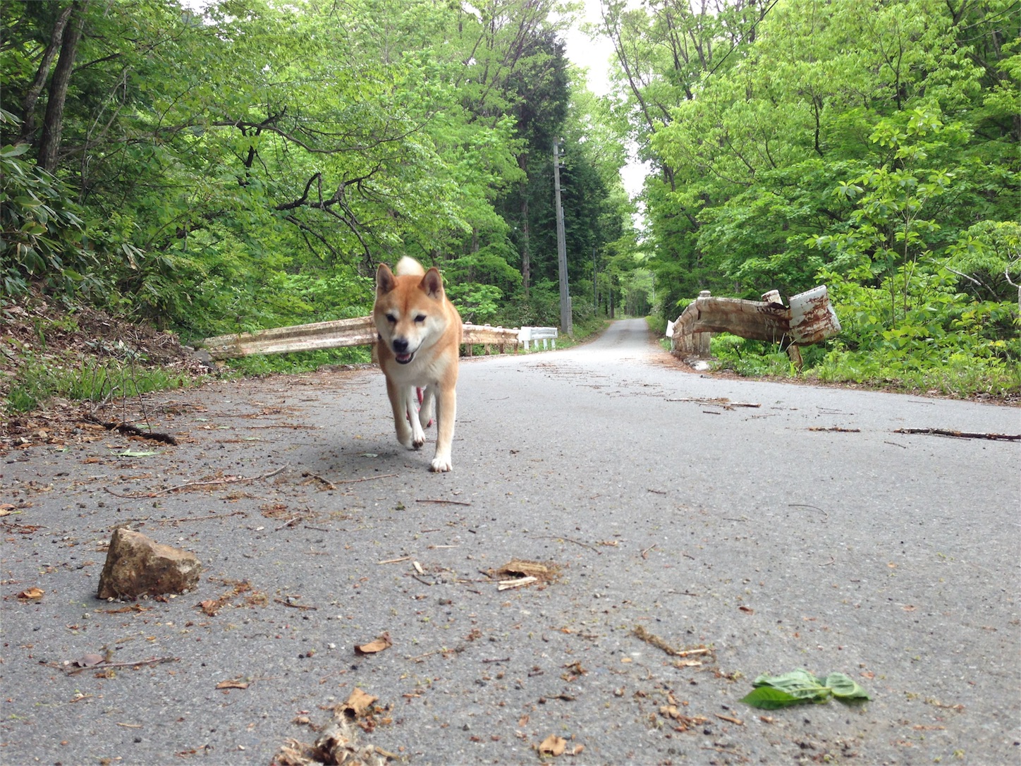 f:id:amago1022:20161028212509j:image