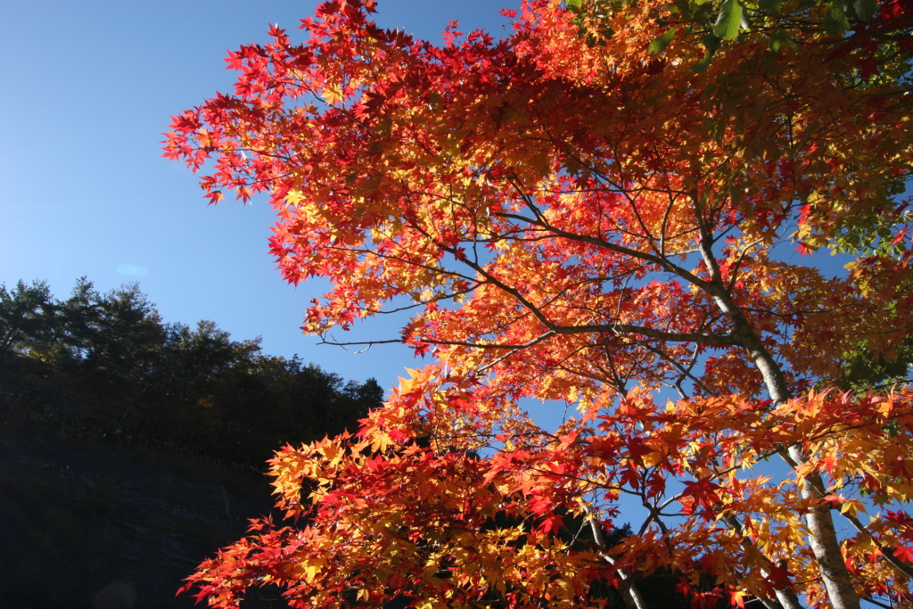 f:id:amago1022:20161028220318j:plain