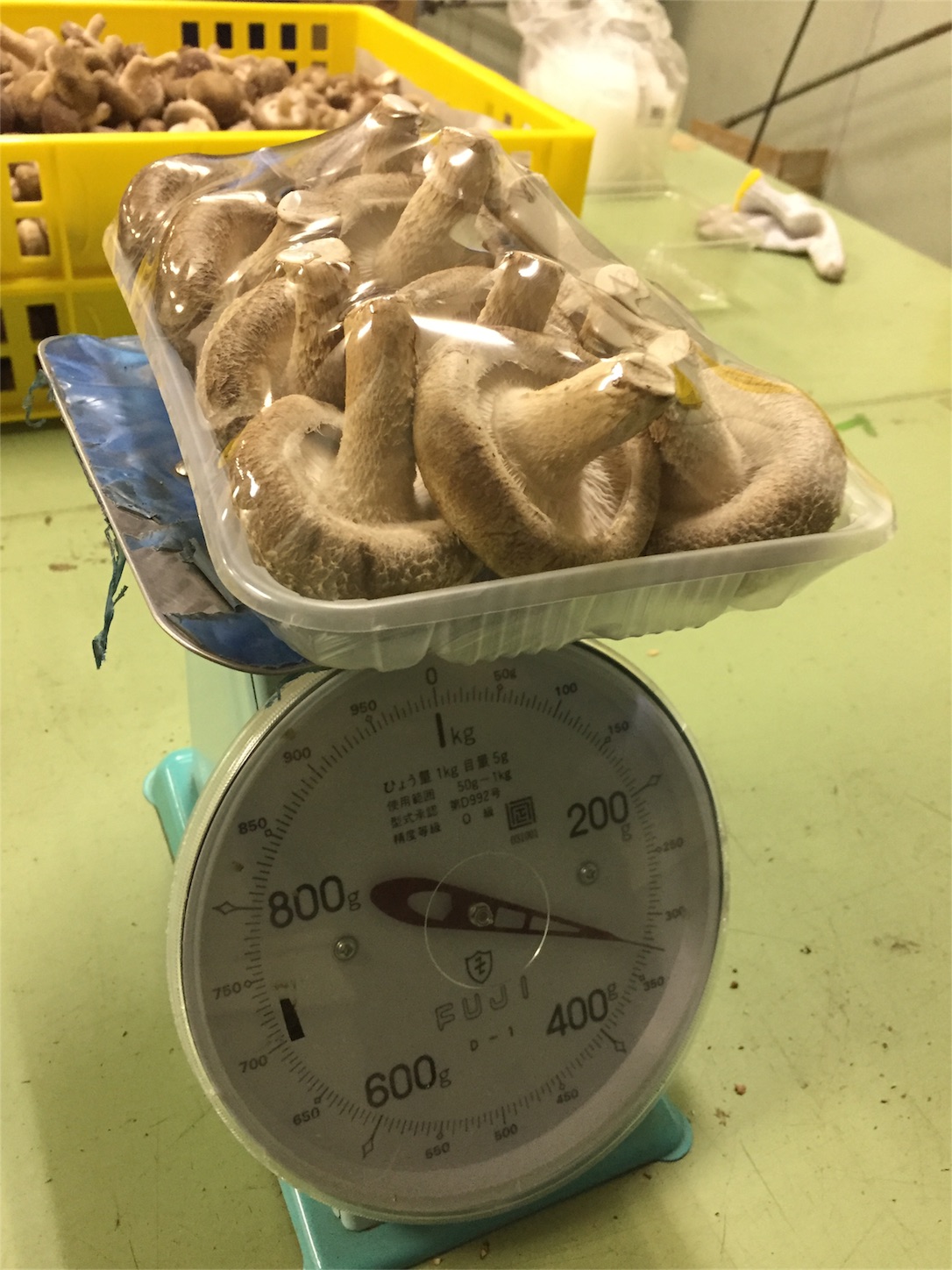 f:id:amago1022:20161213222916j:image