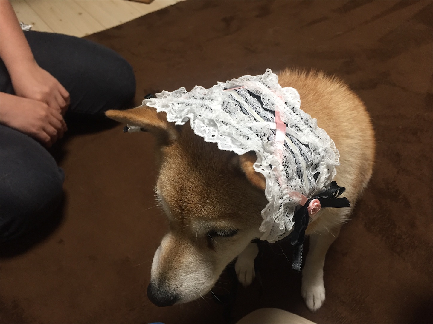 f:id:amago1022:20161213223055j:image