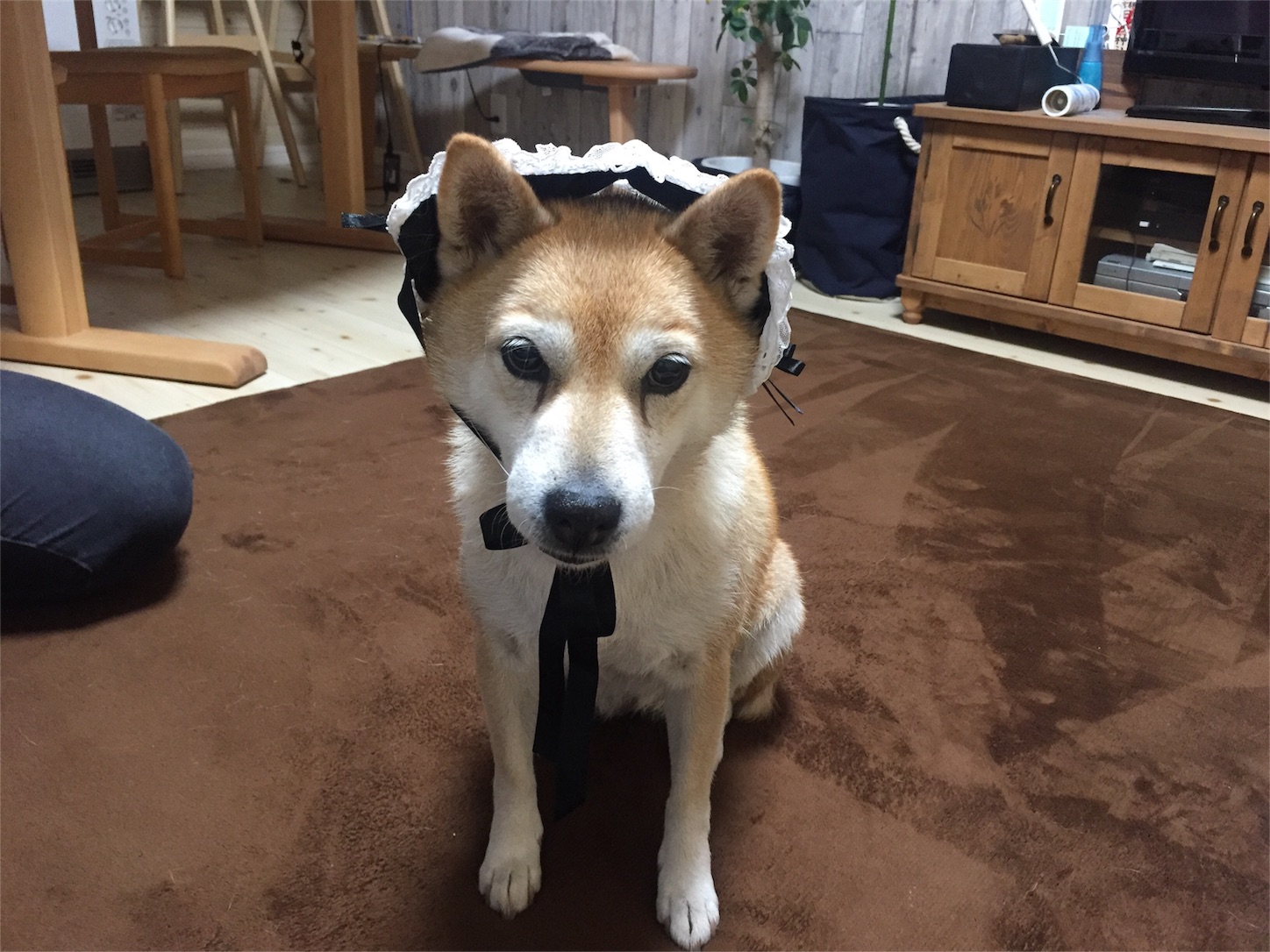 f:id:amago1022:20161213223110j:image