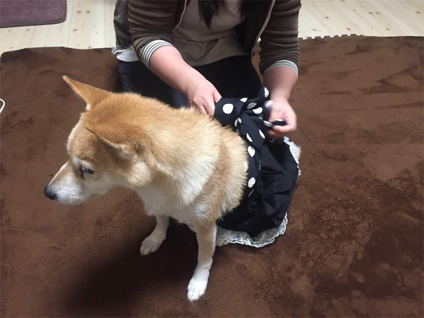 f:id:amago1022:20161213223139j:image