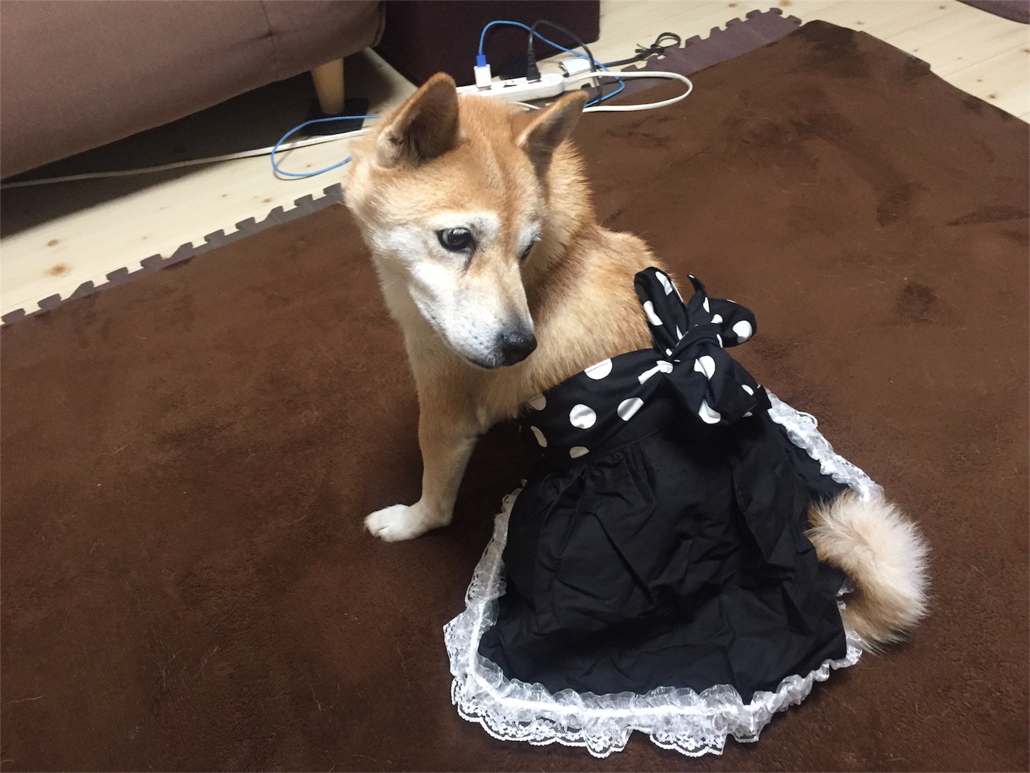 f:id:amago1022:20161213223212j:image