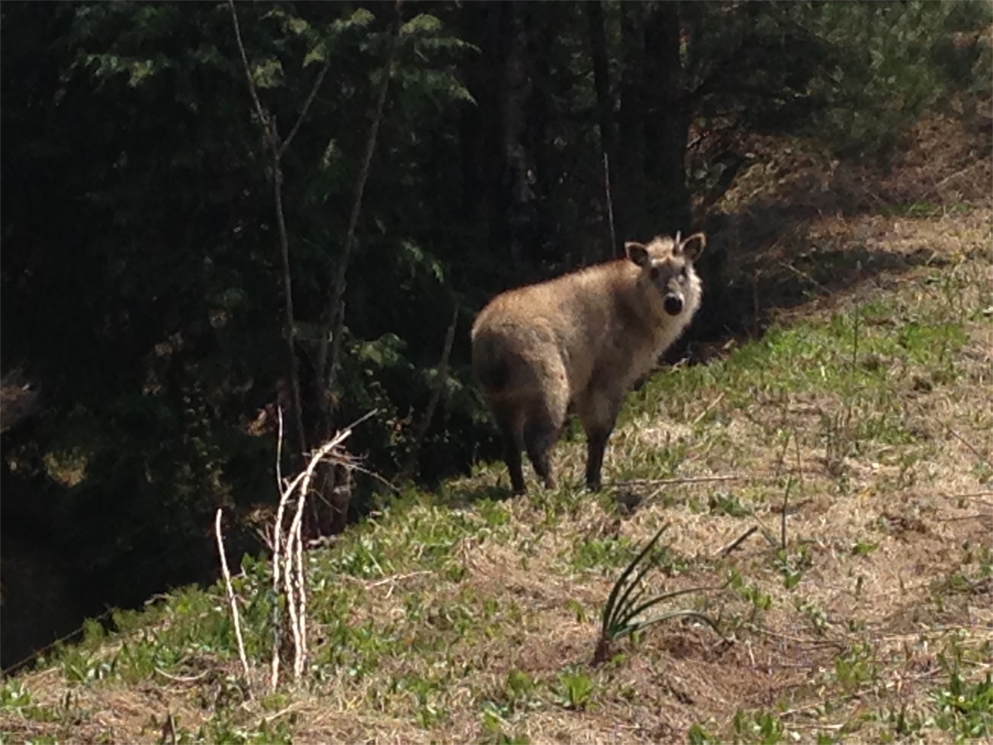 f:id:amago1022:20170323194554j:image