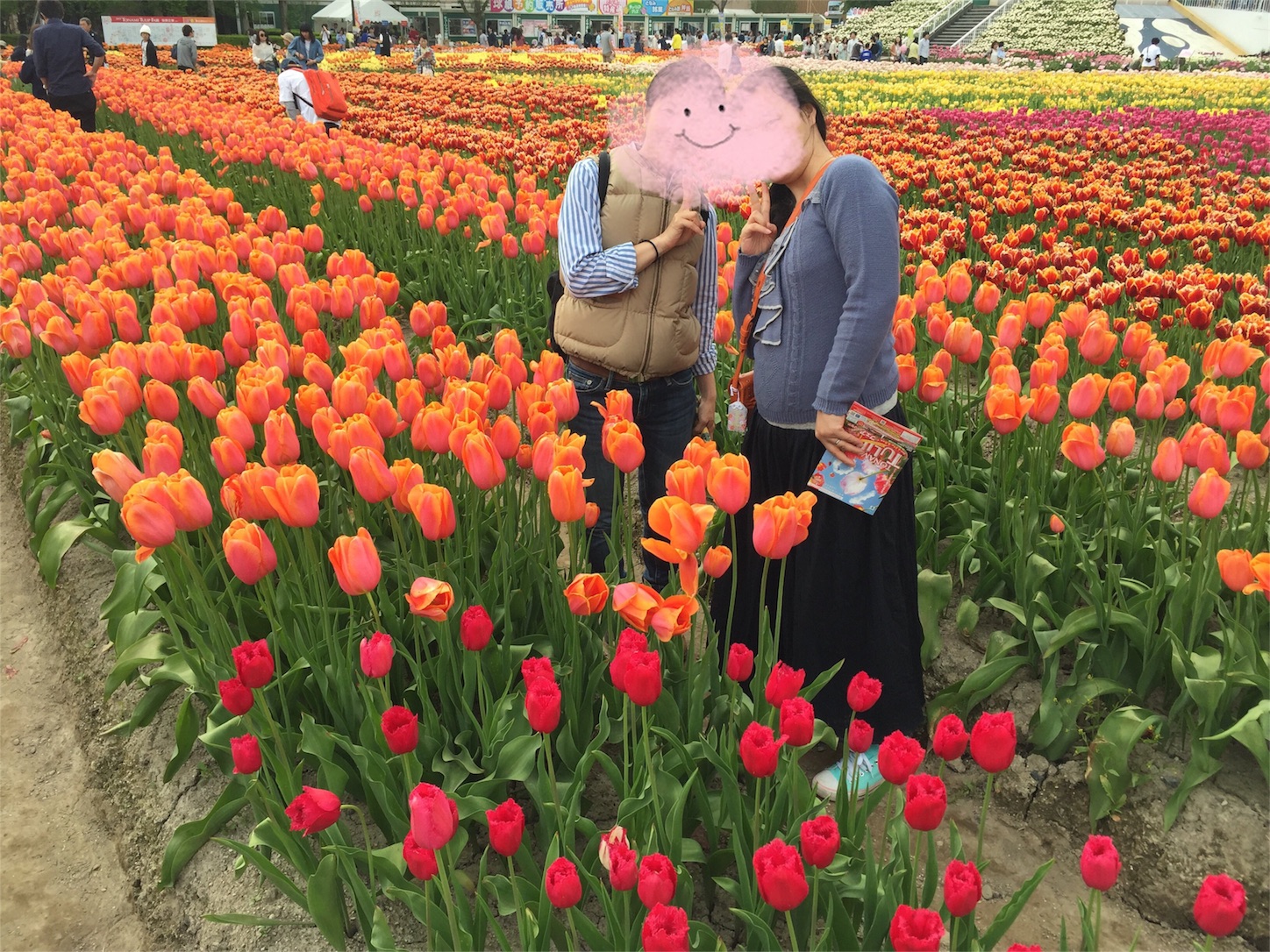 f:id:amago1022:20170506231007j:image